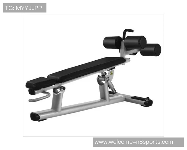 全面了解健身器材的名称与功能助你选择最适合的健身工具